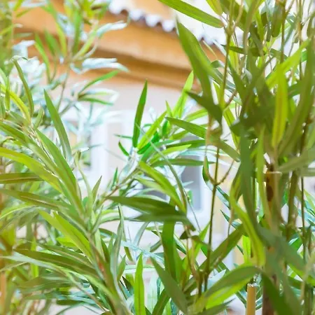 Spanish Step Nest Luxury Appartement